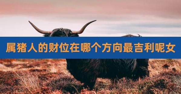 属猪的财运在哪个方向