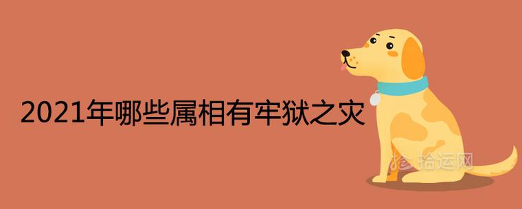 2021年有牢狱之灾的属相