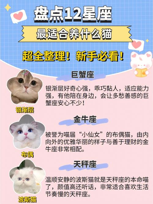 天秤座养猫之后性格会发生哪些变化
