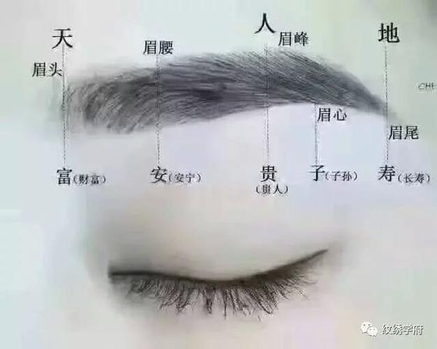有福气眉毛面相图解