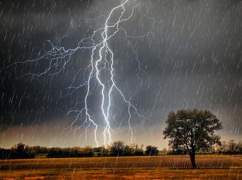 梦见阵雨会怎么样