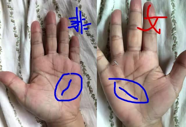 可能患有妇科病的手相有何特点?