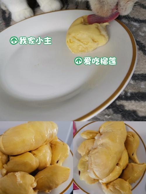 天蝎座女生喜欢吃什么食物