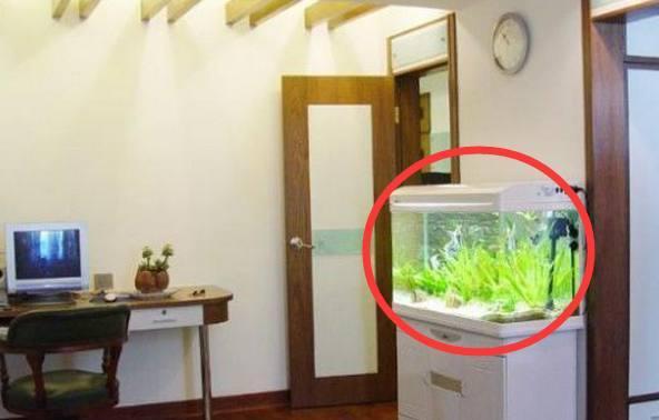 鱼缸放阳台上风水好吗
