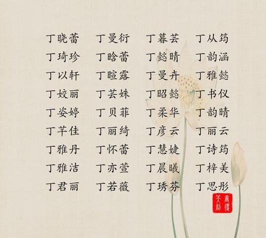 名字响亮好记的丁姓女孩名字