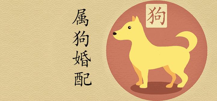 94年属相与运势婚姻
