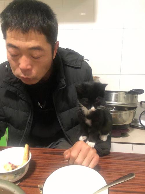 腿打折,属兔是这么对付要打折的