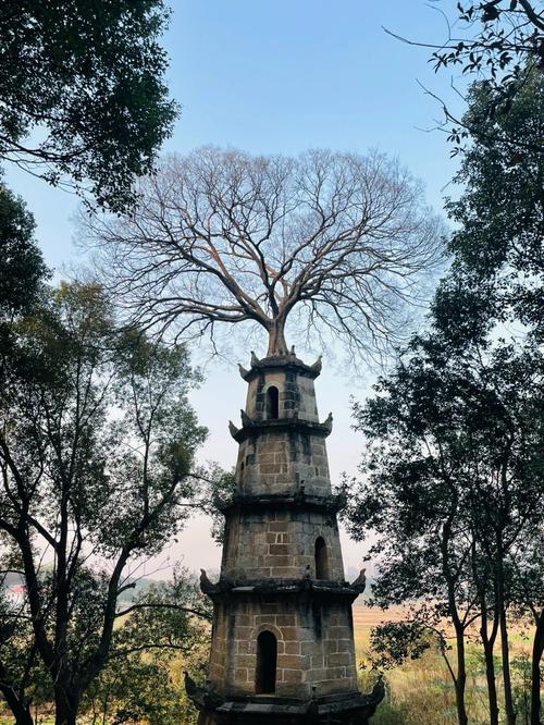 梦见登高 塔顶 树顶 山顶周公解梦,梦见登高 塔顶 树顶 山顶是什