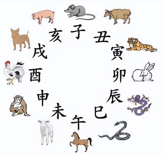 太冲动容易为感情而犯罪的生肖