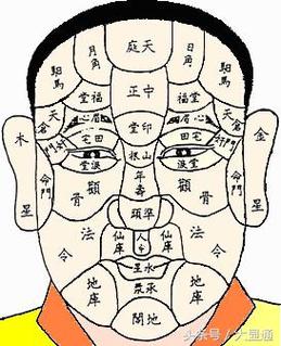 人中双沟，双人中是什么意思？