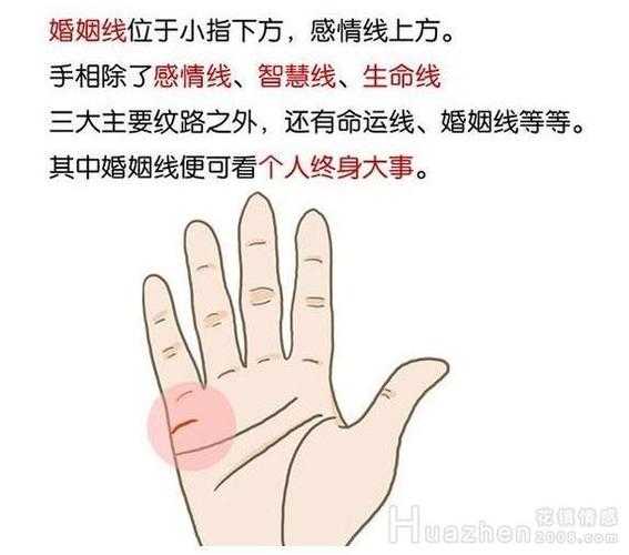 手相可以预知婚姻状况?贫道为你讲解分析方法,女性的婚姻法宝!