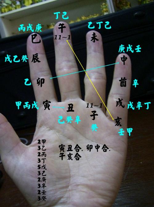 一掌经十二宫解说,一掌经十二命宫怎么看