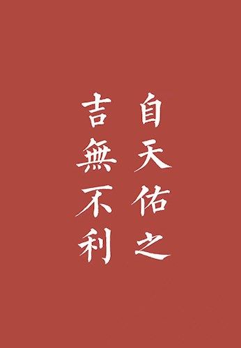 八卦定乾坤:自天祐之,吉无不利