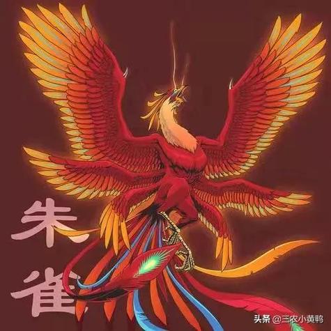 朱雀命的人命运如何