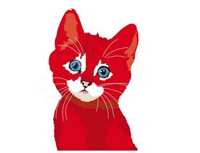 周公解梦梦见红色的猫