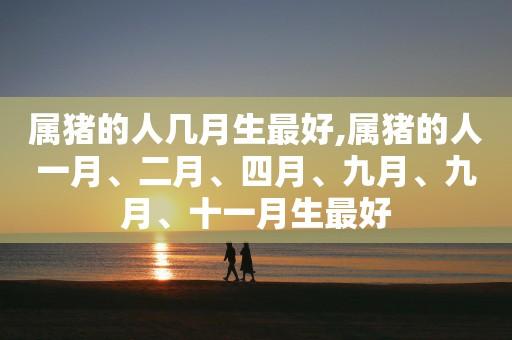 属猪人哪月最好
