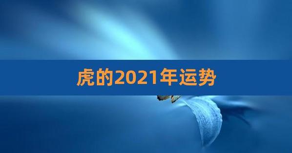 属虎的未来3年的运势