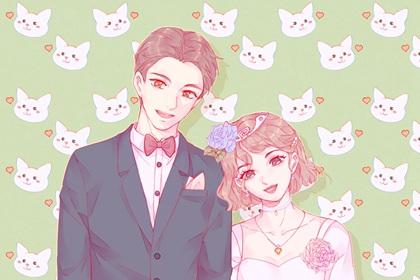 属兔女和什么属相最配婚姻