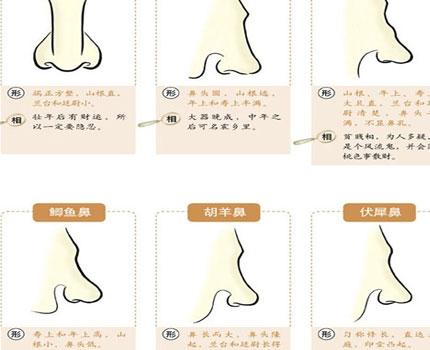 虎眉的男人的命运详细解析