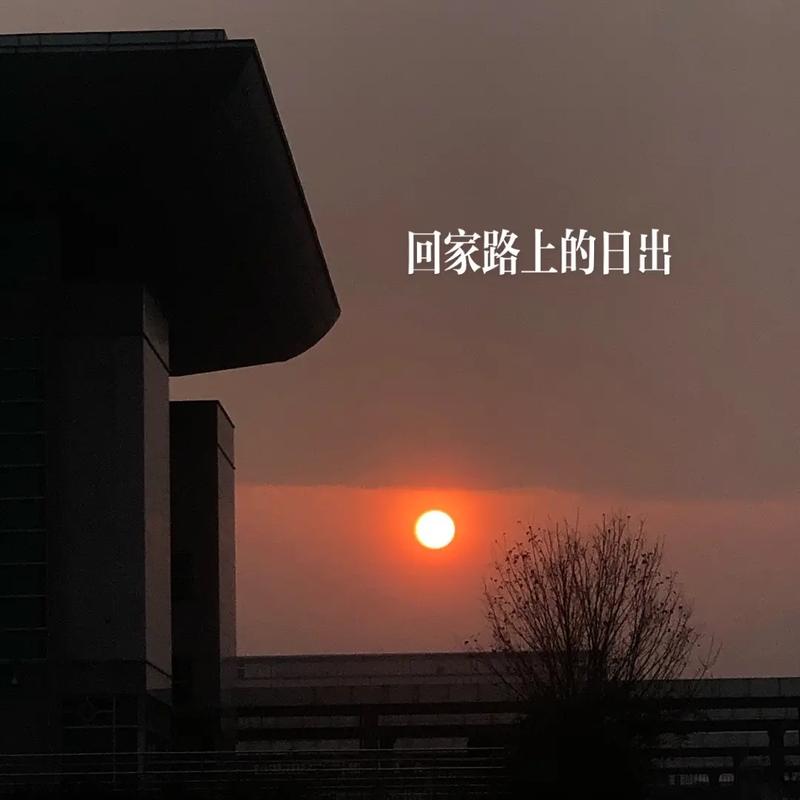 梦见某个日期将会发生什么事情