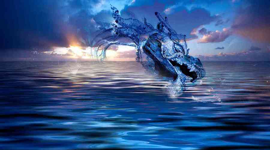 梦见水中龙