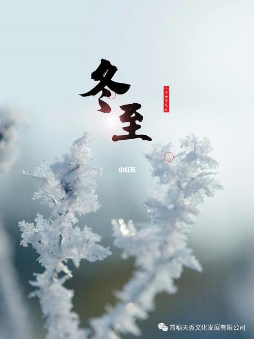2020年冬月初七冬至日出生的宝宝命运好不好?冬至节气开始数九吗?