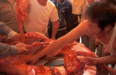 梦见吃虎肉
