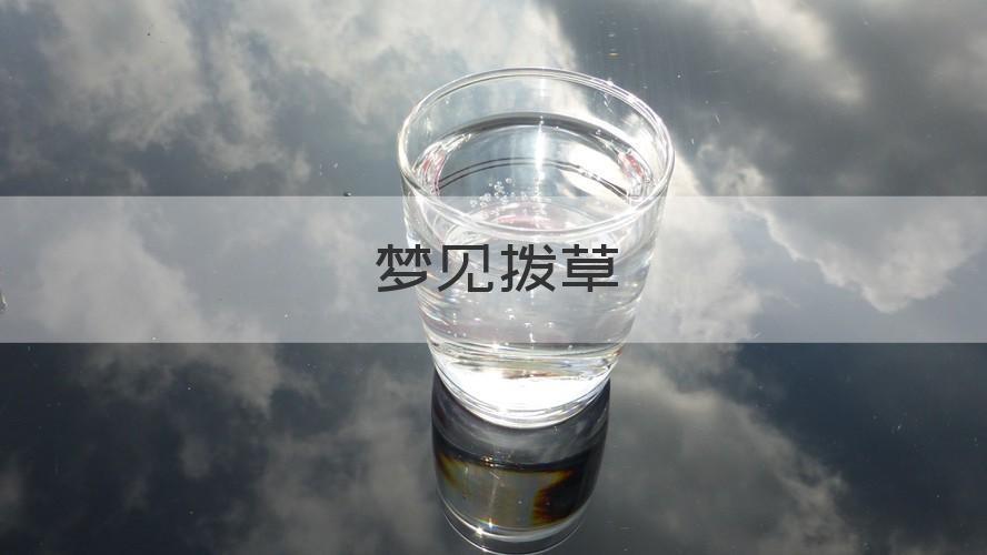 梦见拨草