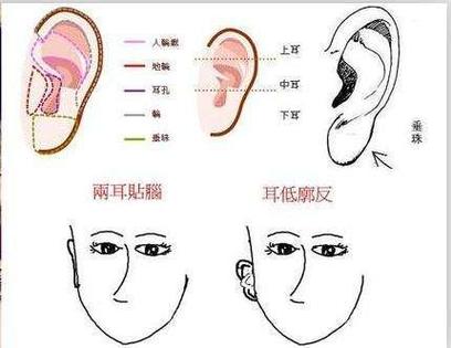 耳相知命运 耳朵的长相和命运的关系