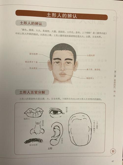 土形人的面相有什么特征?