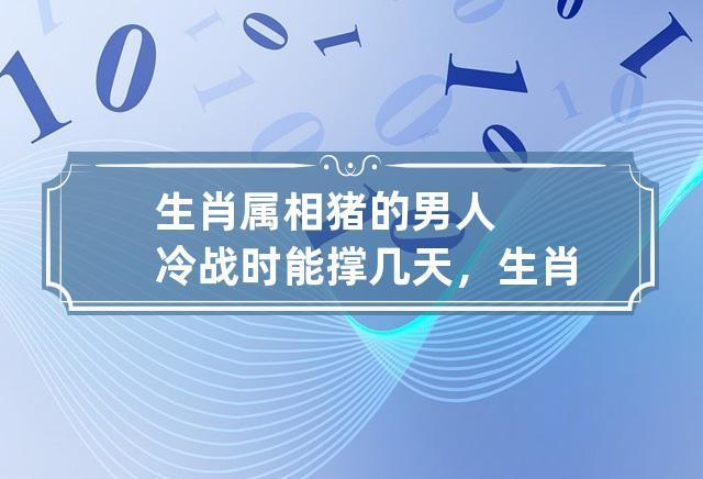 属猪男人对感情的态度怎样