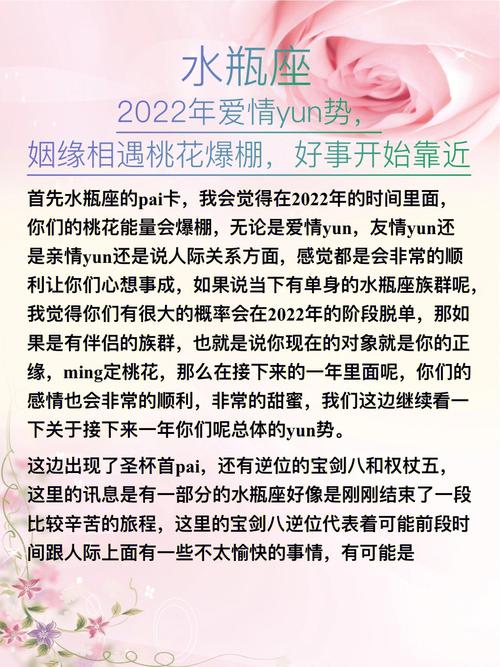 上升水瓶座的最佳姻缘配对