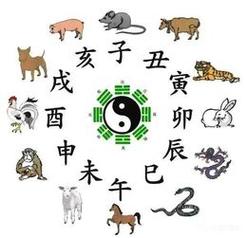 相处时间越久,就能发现这几个生肖优点