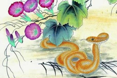 属蛇人遇到虎年怎么化解
