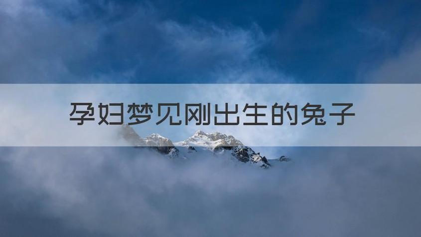 孕妇梦见生兔子