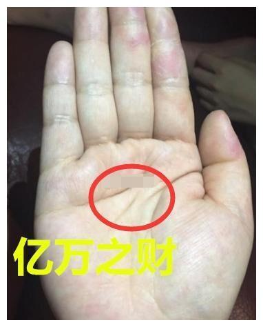 百万富翁的手相