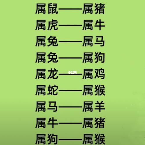 这几个生肖组合在一起,能白首到老不分离