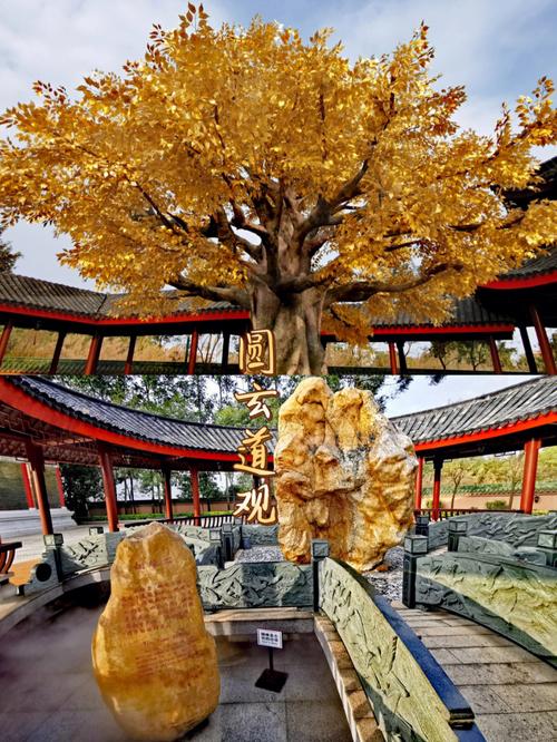梦见梦见道观周公解梦，梦见梦见道观是什么意思？