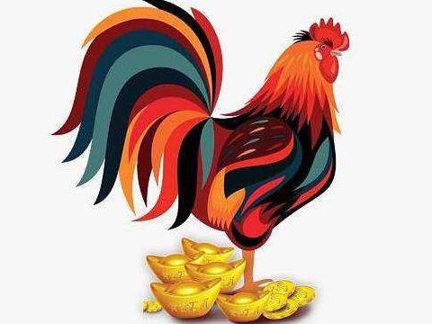 2019年12月属鸡的人事业运势怎么样,如何提升事业运