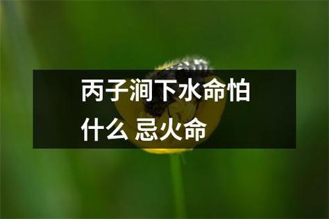 丙子涧下水命缺什么会有哪些影响