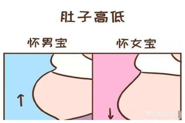 10秒测出怀男孩和女孩