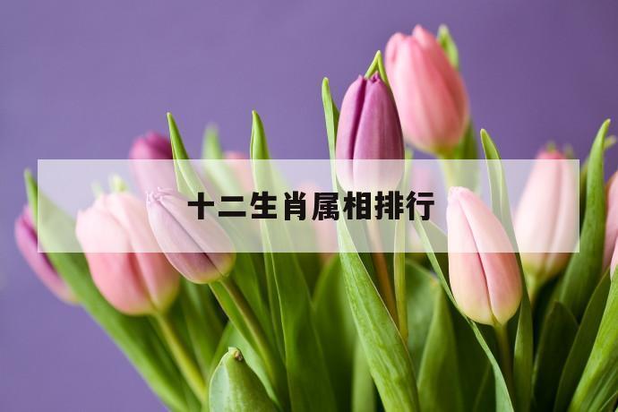 十二生肖的属相特属花