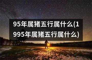 1995属猪一生大劫年