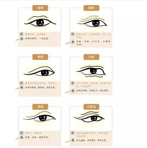 眼睛看你一生有多少福气