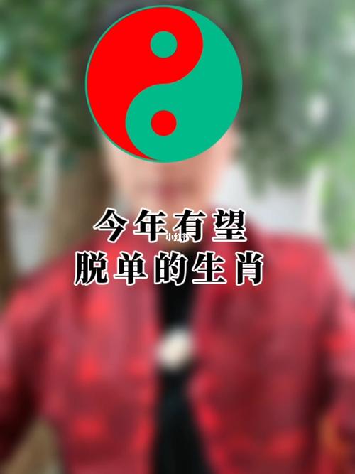 2019年绝对能脱单的生肖