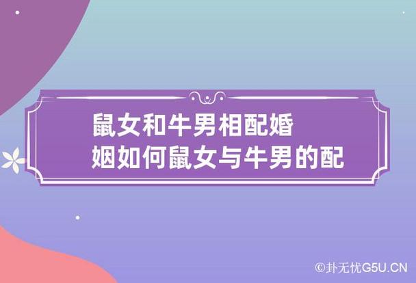 女牛男鼠婚姻怎么样?属牛人如何表达爱?