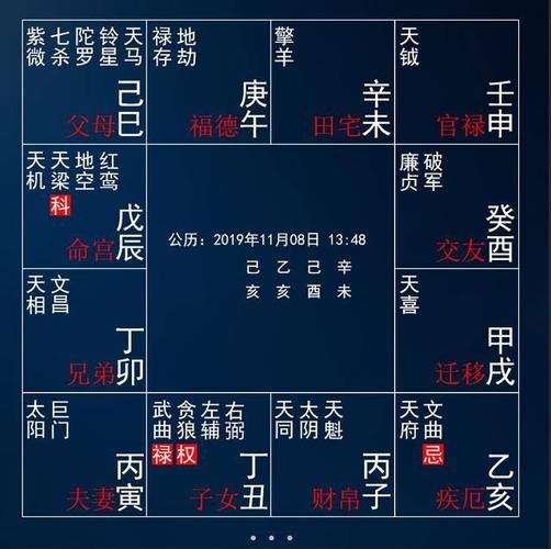 紫微斗数旺妻的男命有哪些?命格中有太阴化禄?