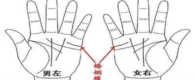 可能分居、离婚的婚姻线末端分叉图解