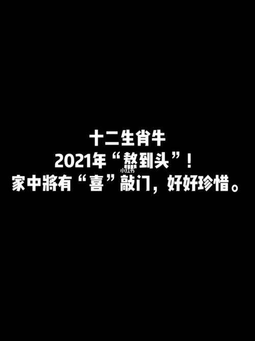 属牛的上进心有多少