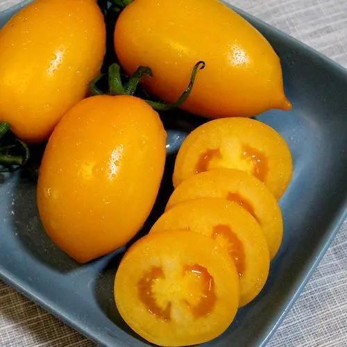 梦到黄色的柿子